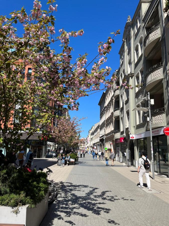 Sloneczny Apartament Centrum Poznania Klimatyzacja Wi-Fi Tv Zmywarka Pralka Piekarnik Bagian luar foto